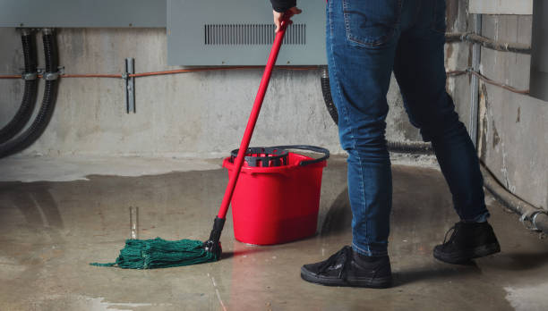 Best Professional water damage repair  in Boling, TX