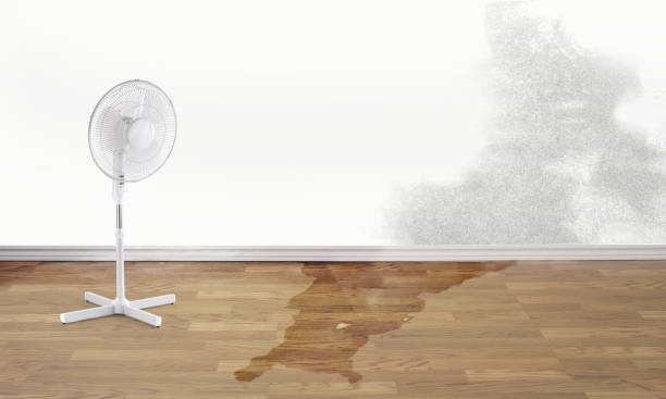 Best Emergency water damage restoration  in Boling, TX
