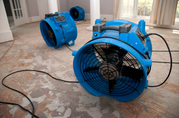  Boling, TX Water damage restoration Pros